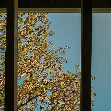 Maison d'hôtes To Mpalkoni Chorefton