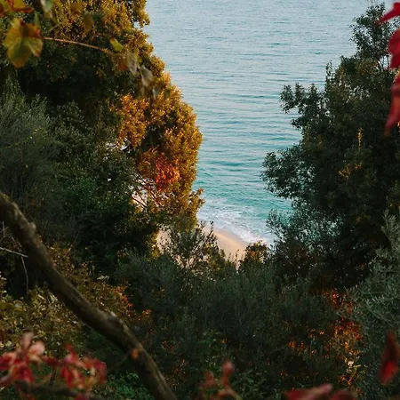 To Mpalkoni 3* Chorefton