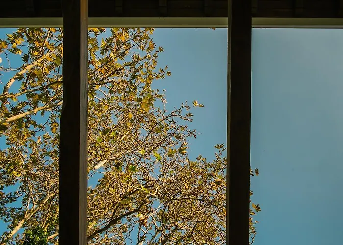 בית הארחה To Mpalkoni חורפטו