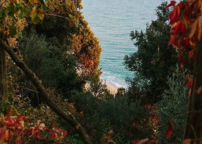 To Mpalkoni 3* Chorefton